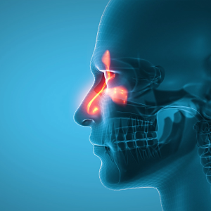 Emerging pathogen found to cause invasive fungal sinusitis in Southeastern US